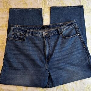 Ann Taylor Women’s The Straight High Rise Curvy Fit Blue Jean Size 18